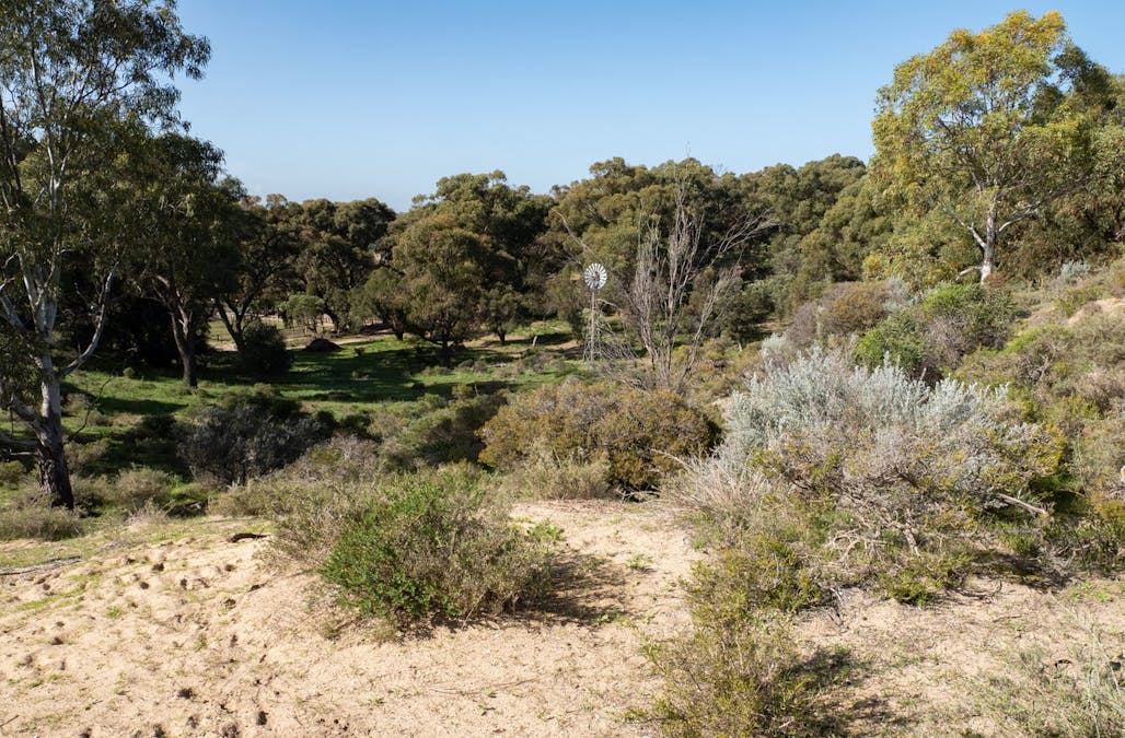 1859 Mandurah Road, Karnup, WA, 6176 - Image 16