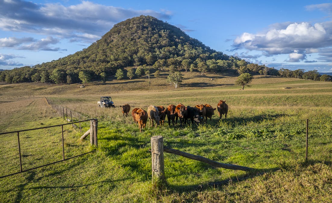 'Rockleigh Ilford Hall Road, Ilford, NSW, 2850 - Image 14