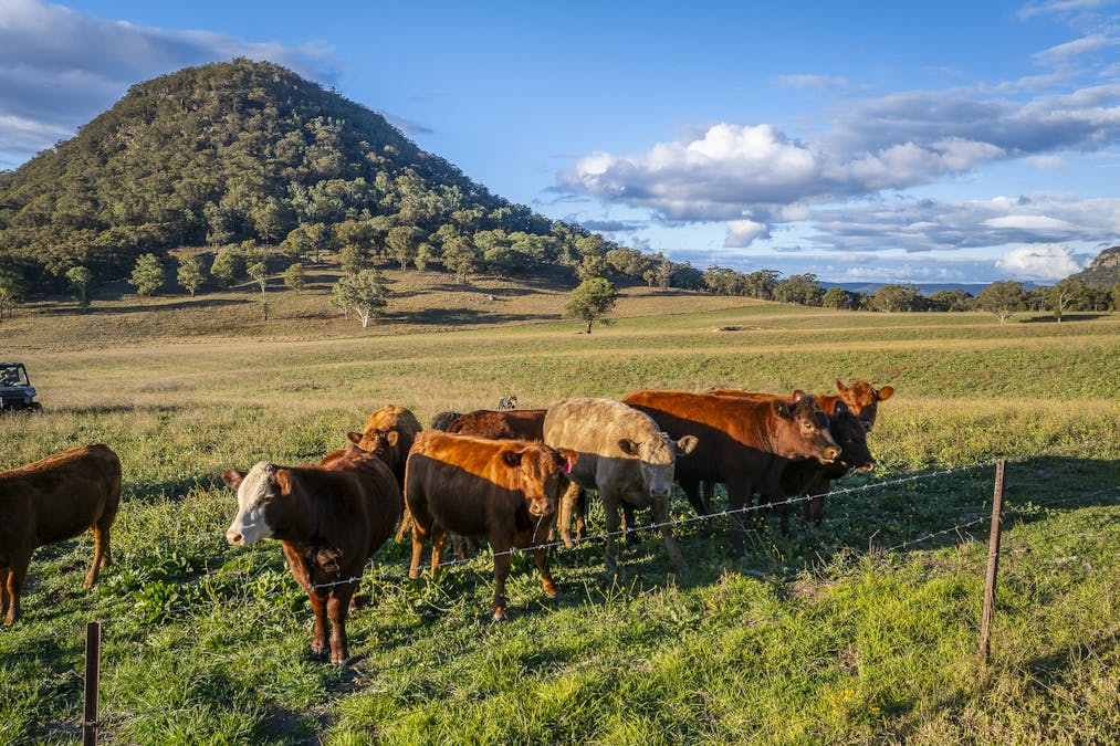 'Rockleigh Ilford Hall Road, Ilford, NSW, 2850 - Image 15