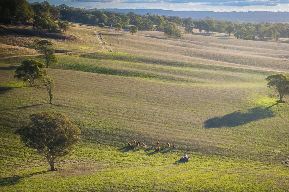 'Rockleigh Ilford Hall Road, Ilford, NSW, 2850 - Image 17