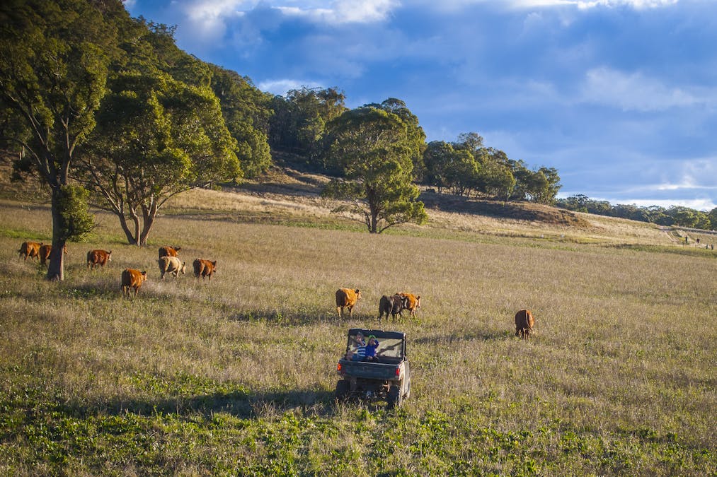 'Rockleigh Ilford Hall Road, Ilford, NSW, 2850 - Image 16