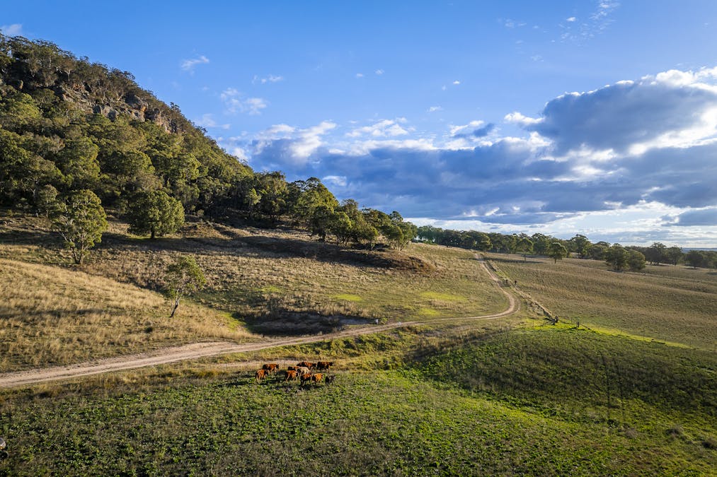 'Rockleigh Ilford Hall Road, Ilford, NSW, 2850 - Image 18