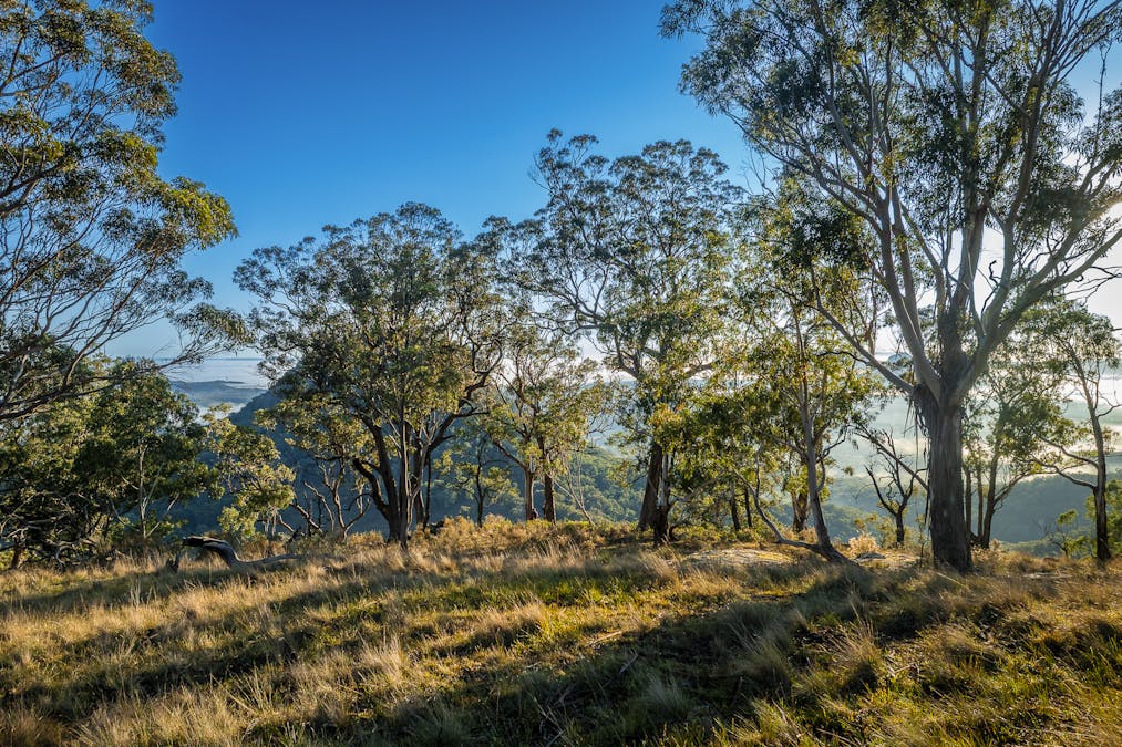 'Rockleigh Ilford Hall Road, Ilford, NSW, 2850 - Image 24