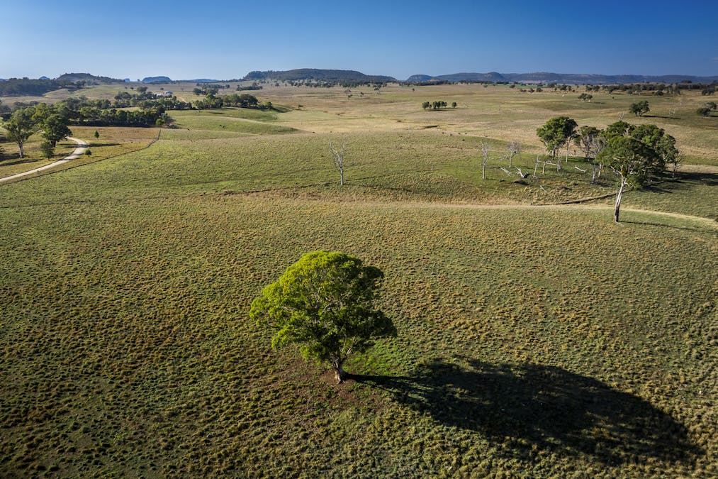 'Coonara'  Perrams Road, Ilford, NSW, 2850 - Image 22