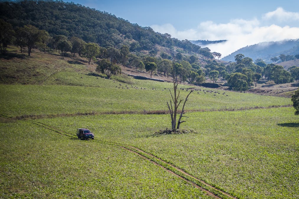 'Coonara'  Perrams Road, Ilford, NSW, 2850 - Image 25