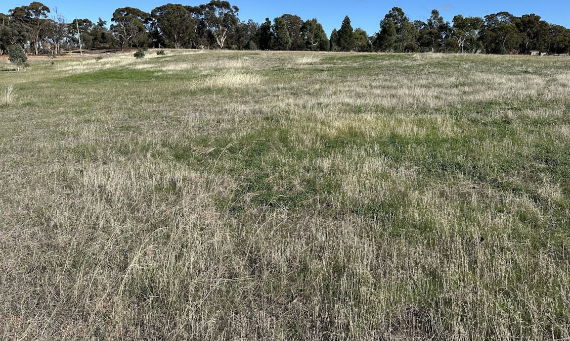 323/Robinson Road, Woodanilling, WA, 6316 - Image 5
