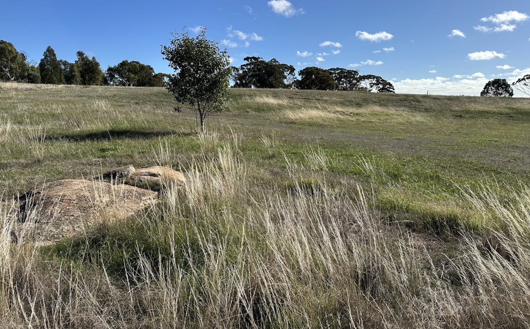 323/Robinson Road, Woodanilling, WA, 6316 - Image 4