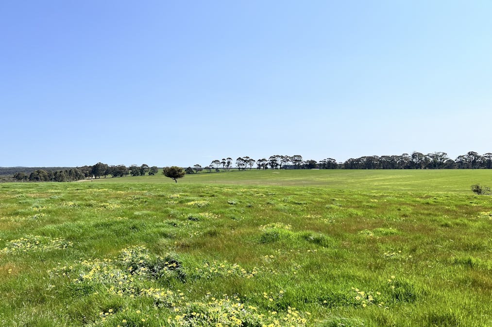 251/STAGE 2 - Albany Views Private Estate - Albany Views Private Estate, Drome , Albany, WA, 6330 - Image 4