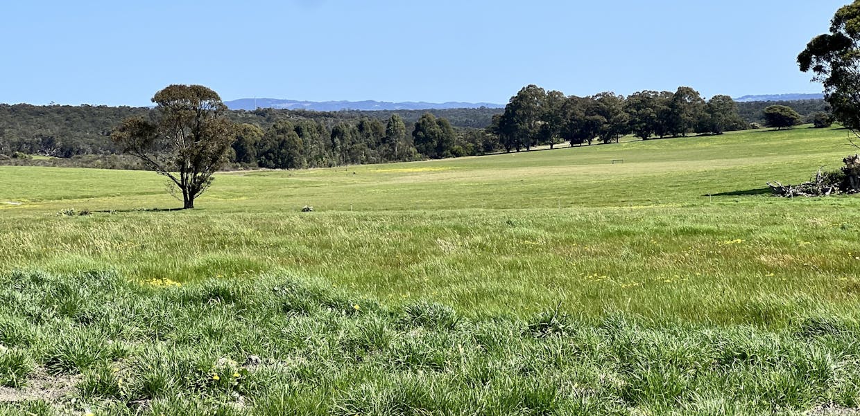 253/STAGE 2 - Albany Views Private Estate - Albany Views Private Estate, Drome , Albany, WA, 6330 - Image 1