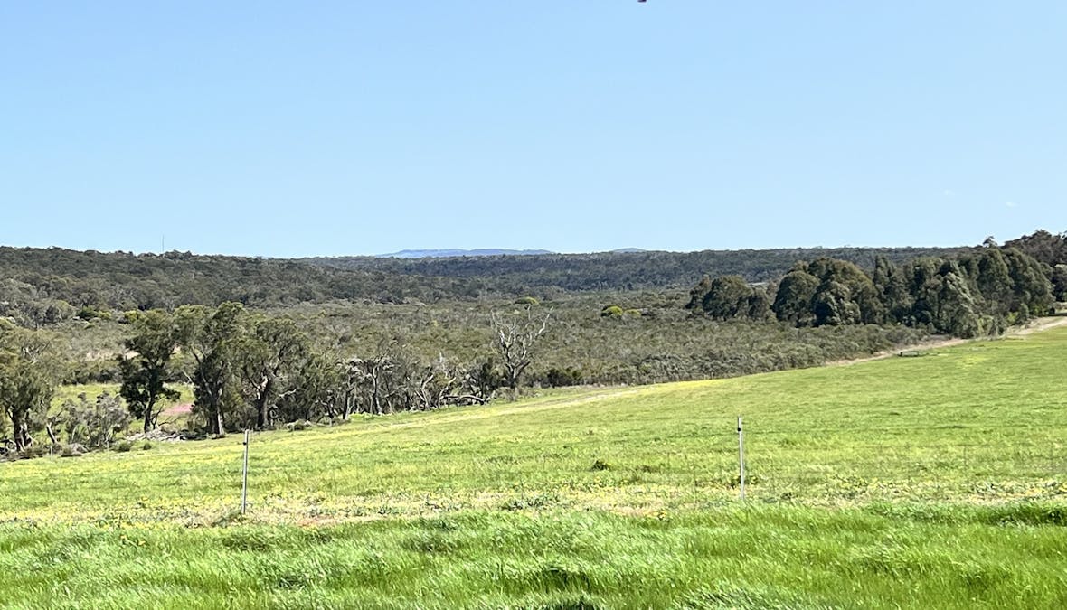 253/STAGE 2 - Albany Views Private Estate - Albany Views Private Estate, Drome , Albany, WA, 6330 - Image 8