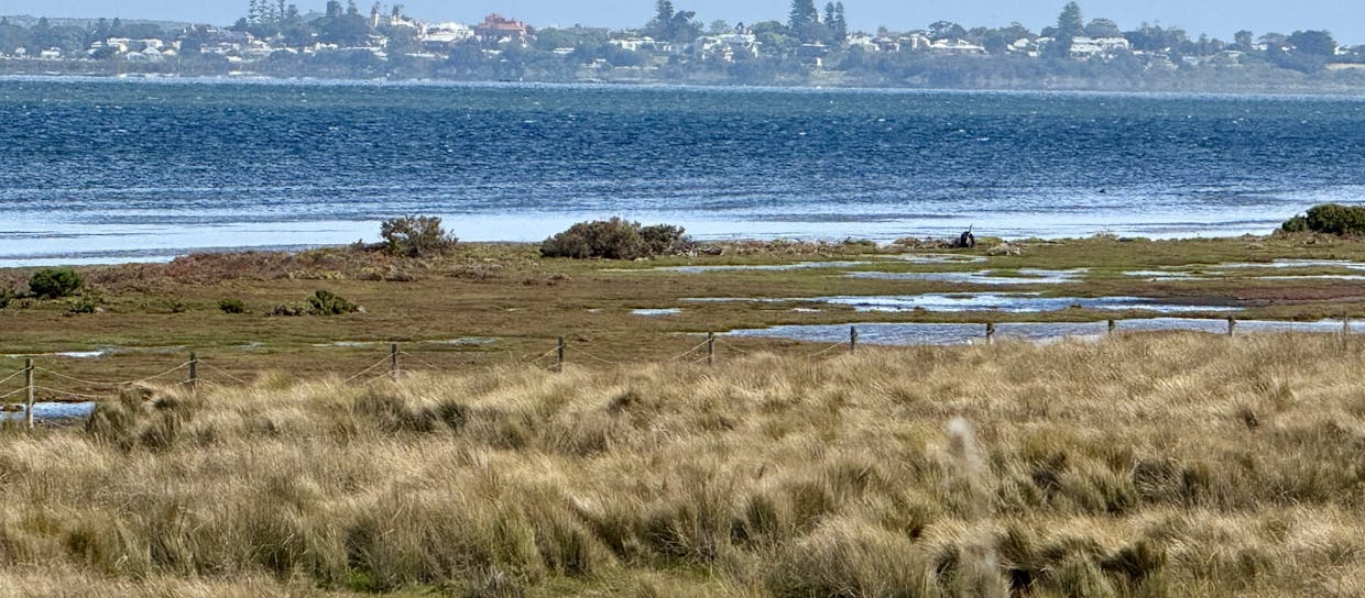 81-117 Burrows Road, Swan Bay, VIC, 3225 - Image 5