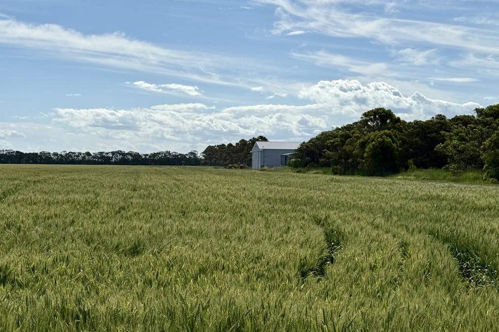 81-117 Burrows Road, Swan Bay, VIC, 3225 - Image 9