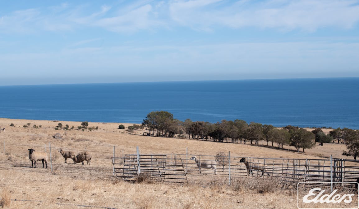 11 Cactus Canyon Road, Sellicks Hill, SA, 5174 - Image 17