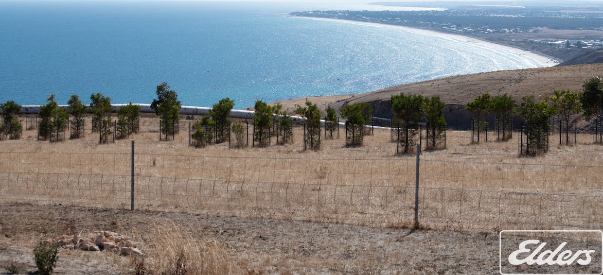 11 Cactus Canyon Road, Sellicks Hill, SA, 5174 - Image 11