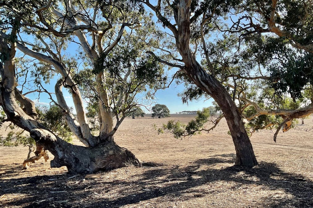 110 Woorndoo-Chatsworth Road, Woorndoo, VIC, 3272 - Image 10