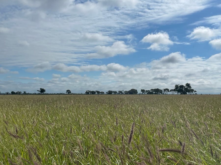 8339 Ilfracombe Aramac Road, Aramac, QLD, 4726 - Image 2