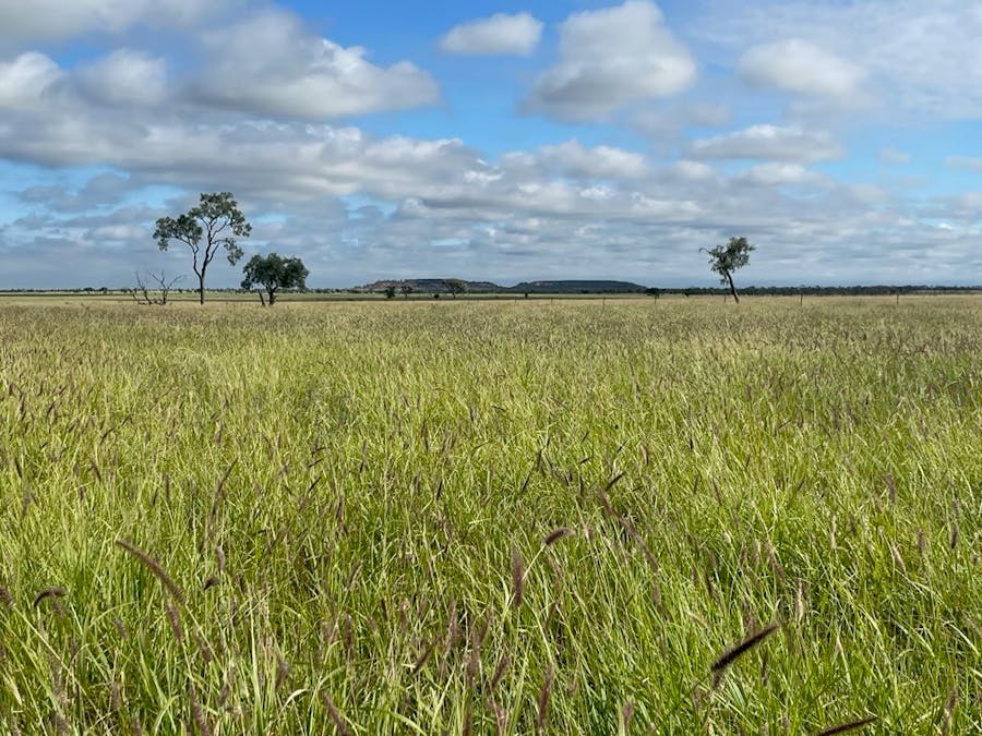 8339 Ilfracombe Aramac Road, Aramac, QLD, 4726 - Image 4