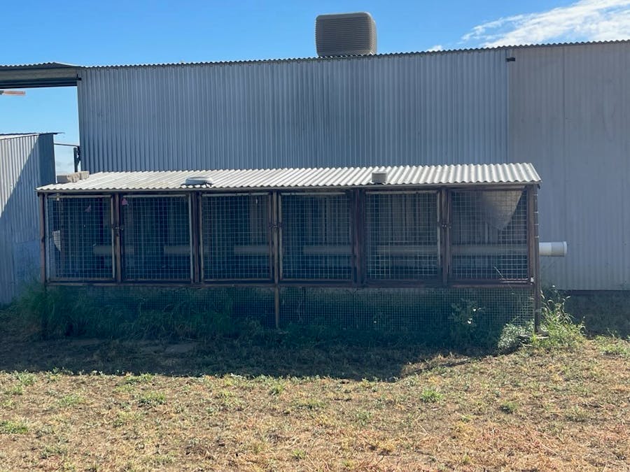8339 Ilfracombe Aramac Road, Aramac, QLD, 4726 - Image 9