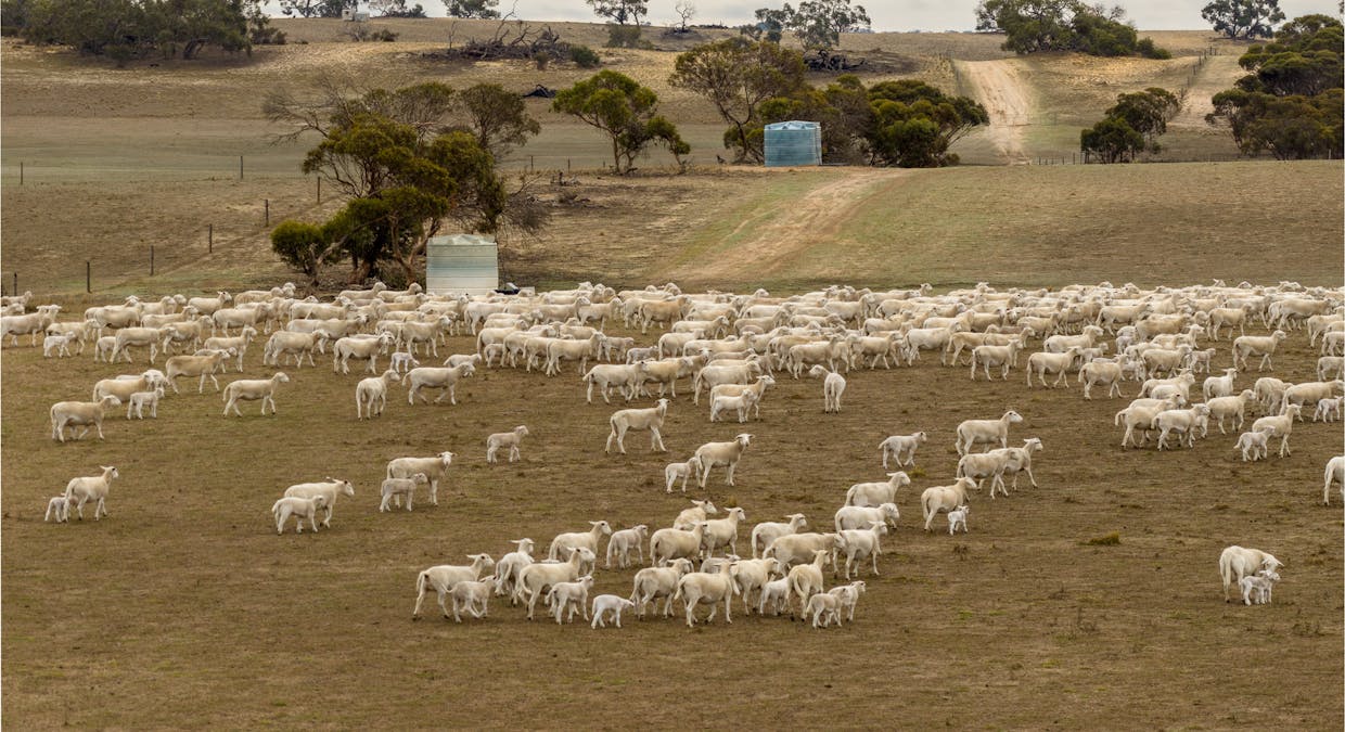 213 Rundle Road, Lameroo, SA, 5302 - Image 23