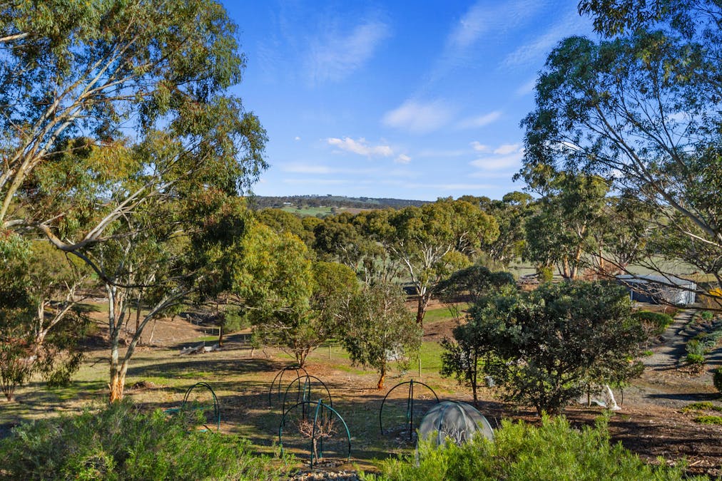 121 Norman Drive, Clare, SA, 5453 - Image 24