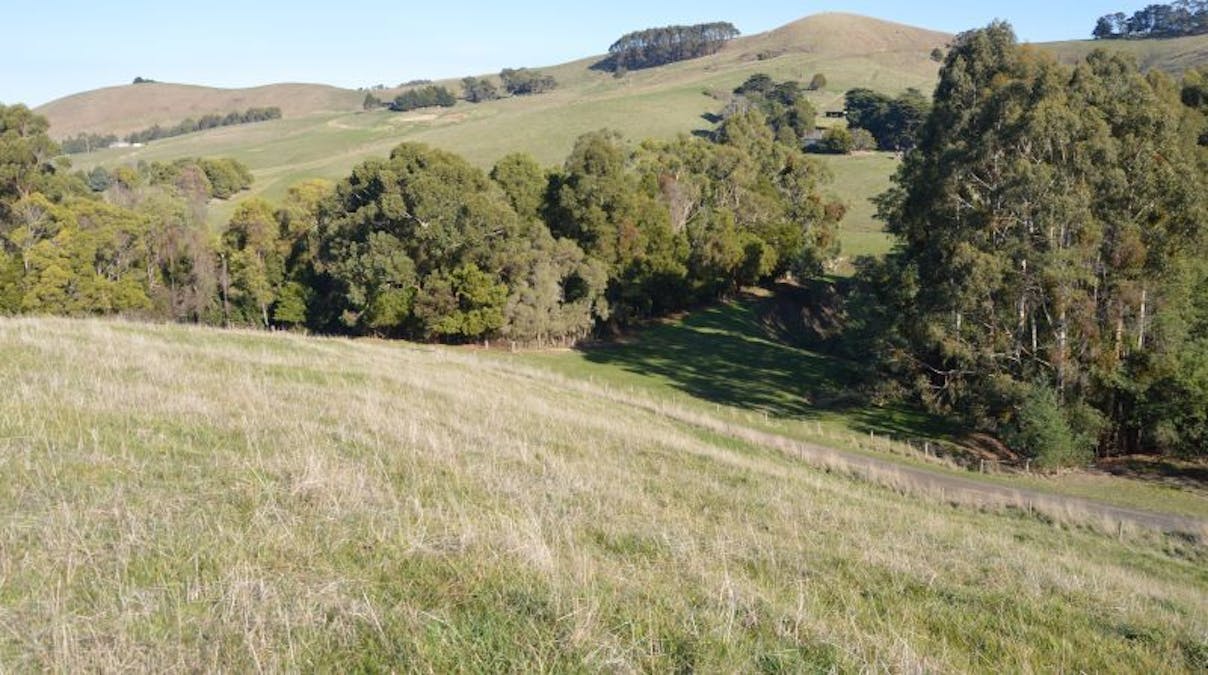 1/1060 Bena - Kongwak Road, Kongwak, VIC, 3951 - Image 9