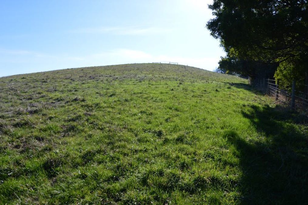 1/1060 Bena - Kongwak Road, Kongwak, VIC, 3951 - Image 8