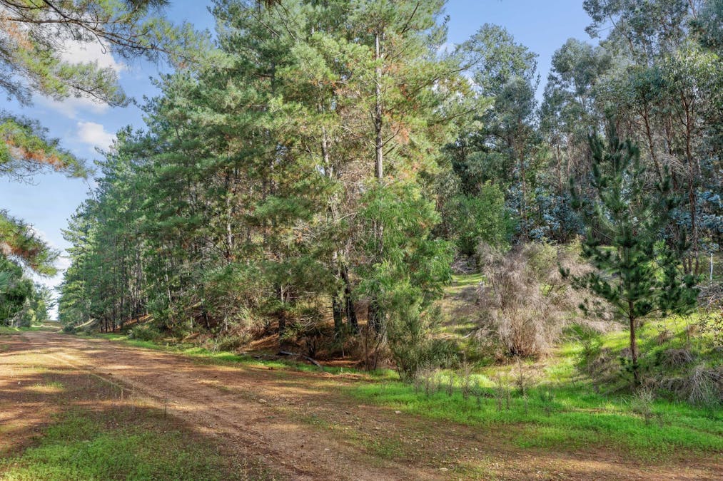 Coalfields Road, Roelands, WA, 6226 - Image 2