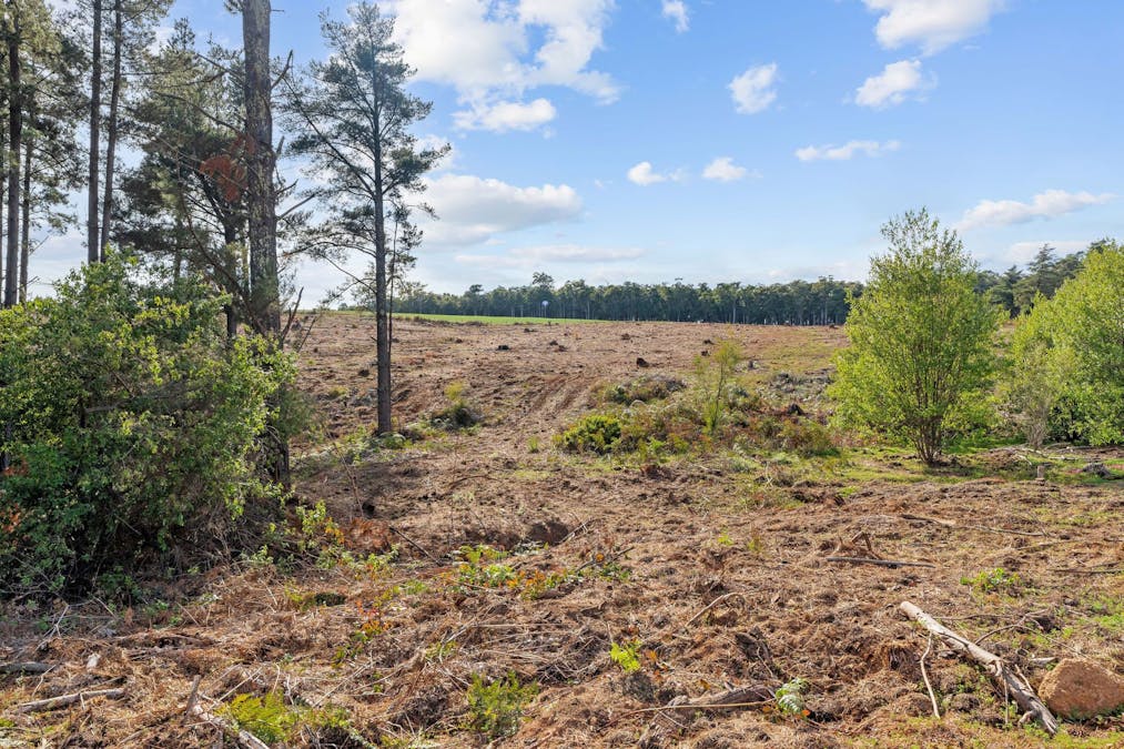 Coalfields Road, Roelands, WA, 6226 - Image 3
