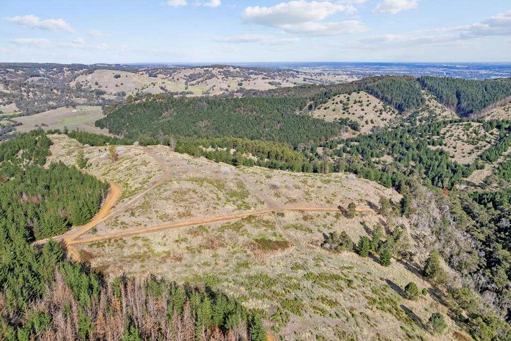 Coalfields Road, Roelands, WA, 6226 - Image 9