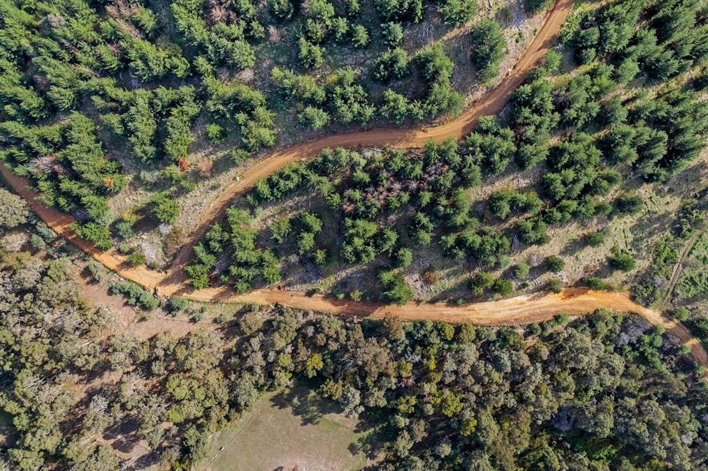 Coalfields Road, Roelands, WA, 6226 - Image 12