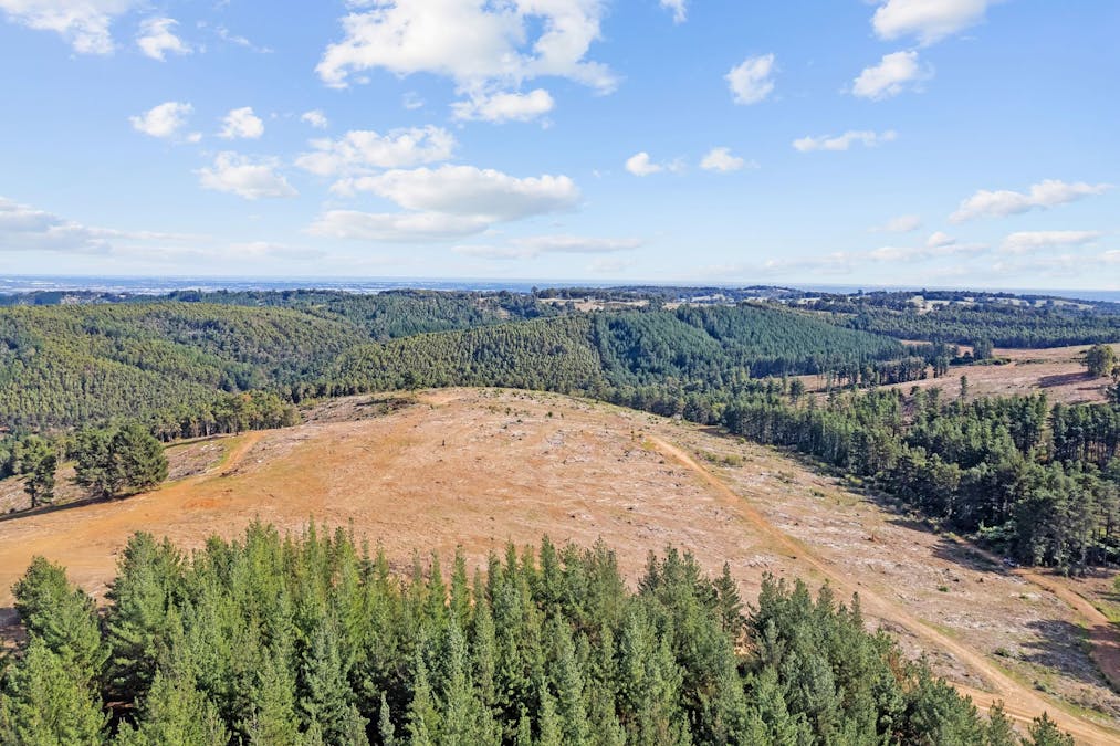 Coalfields Road, Roelands, WA, 6226 - Image 13
