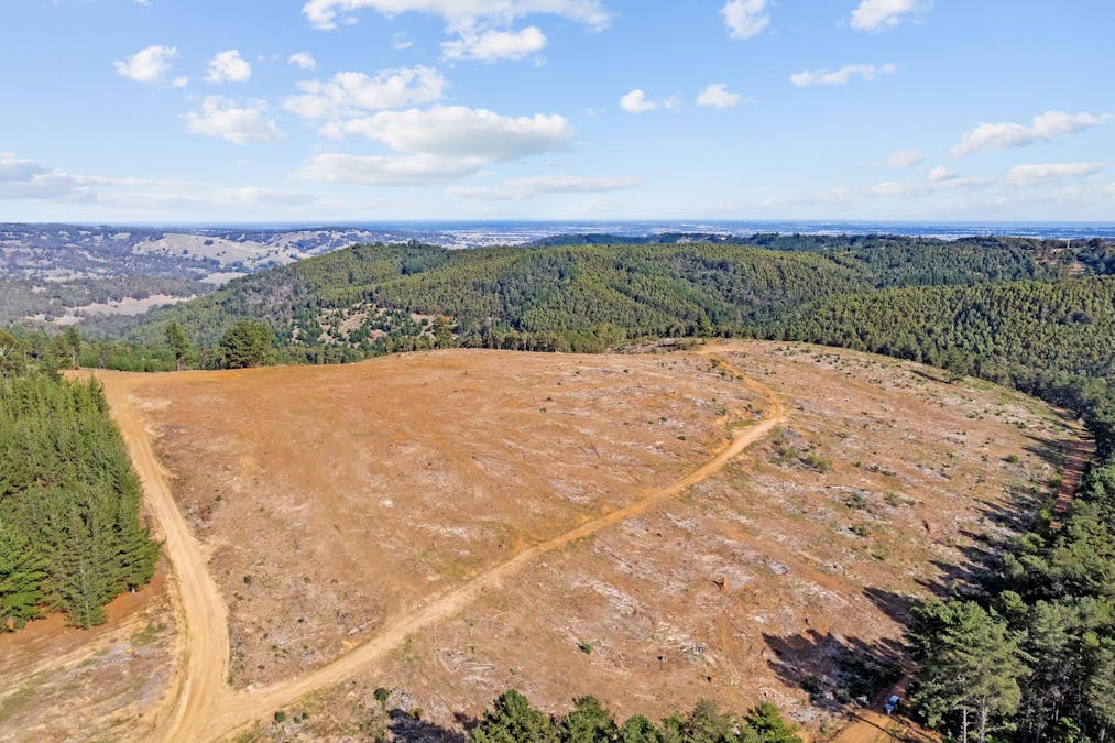 Coalfields Road, Roelands, WA, 6226 - Image 14