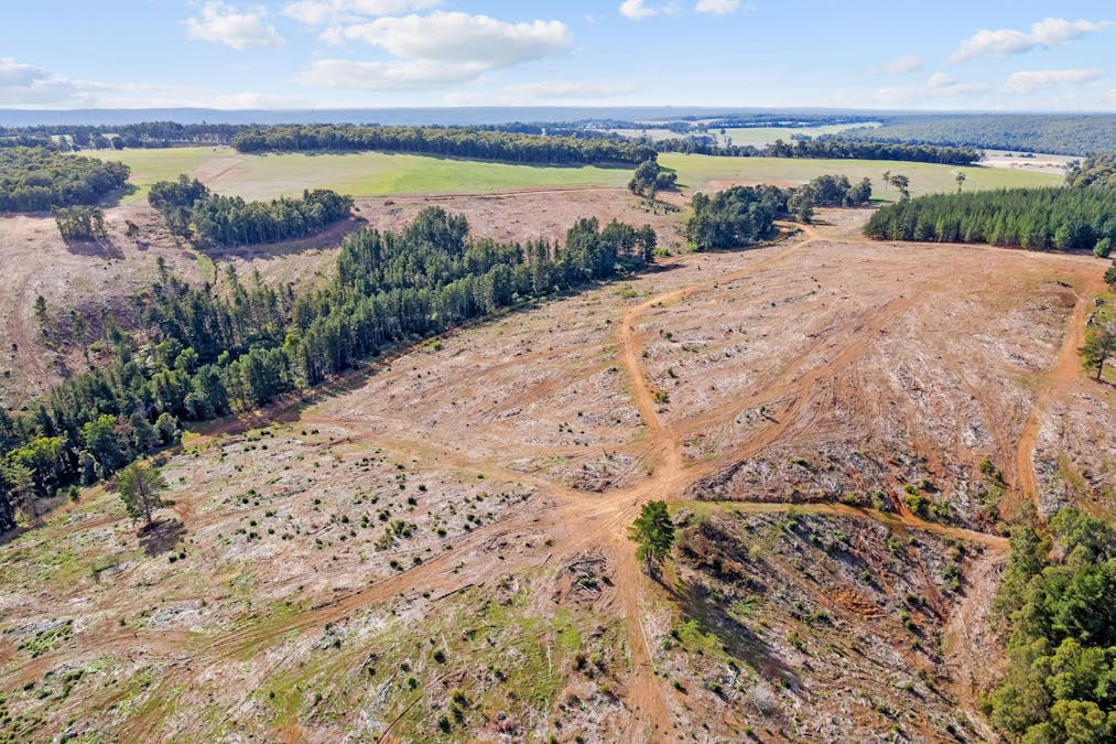 Coalfields Road, Roelands, WA, 6226 - Image 16