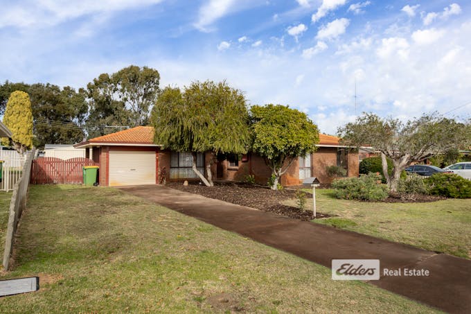 62 Ganfield Street, Carey Park, WA, 6230 - Image 1