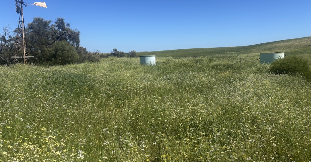 Lot 72 Oakajee Road, Howatharra, WA, 6532 - Image 4