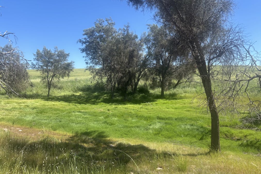 Lot 72 Oakajee Road, Howatharra, WA, 6532 - Image 3