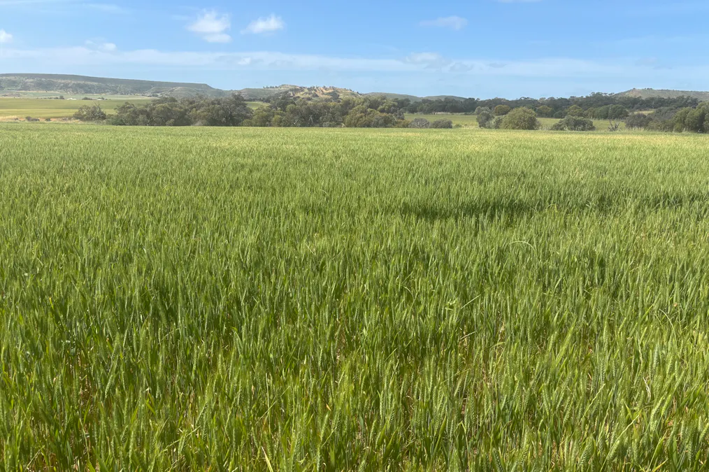Lot 72 Oakajee Road, Howatharra, WA, 6532 - Image 16