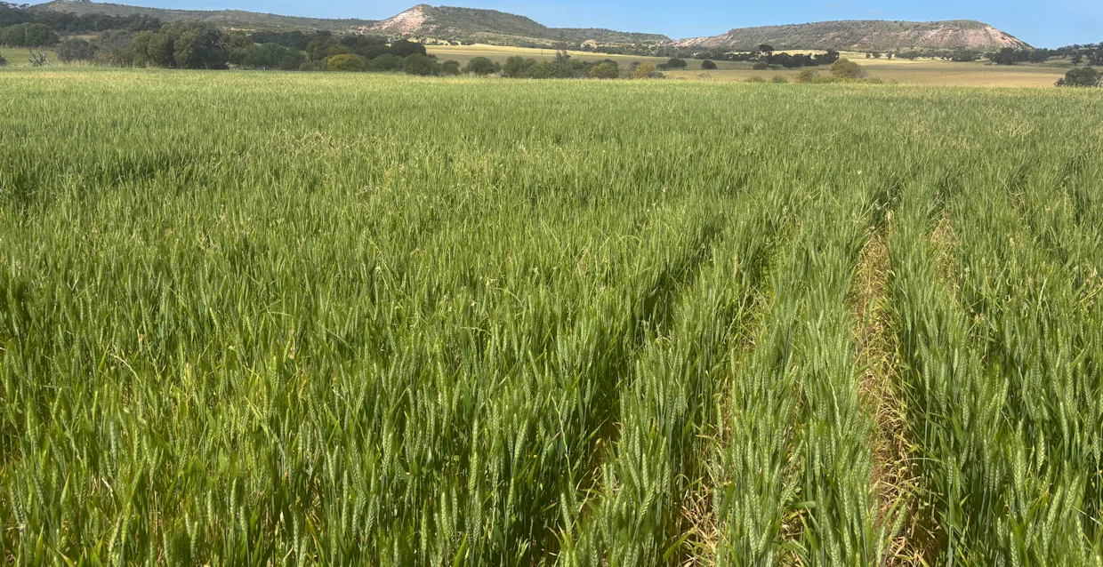 Lot 72 Oakajee Road, Howatharra, WA, 6532 - Image 1
