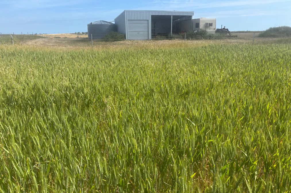 Lot 72 Oakajee Road, Howatharra, WA, 6532 - Image 14