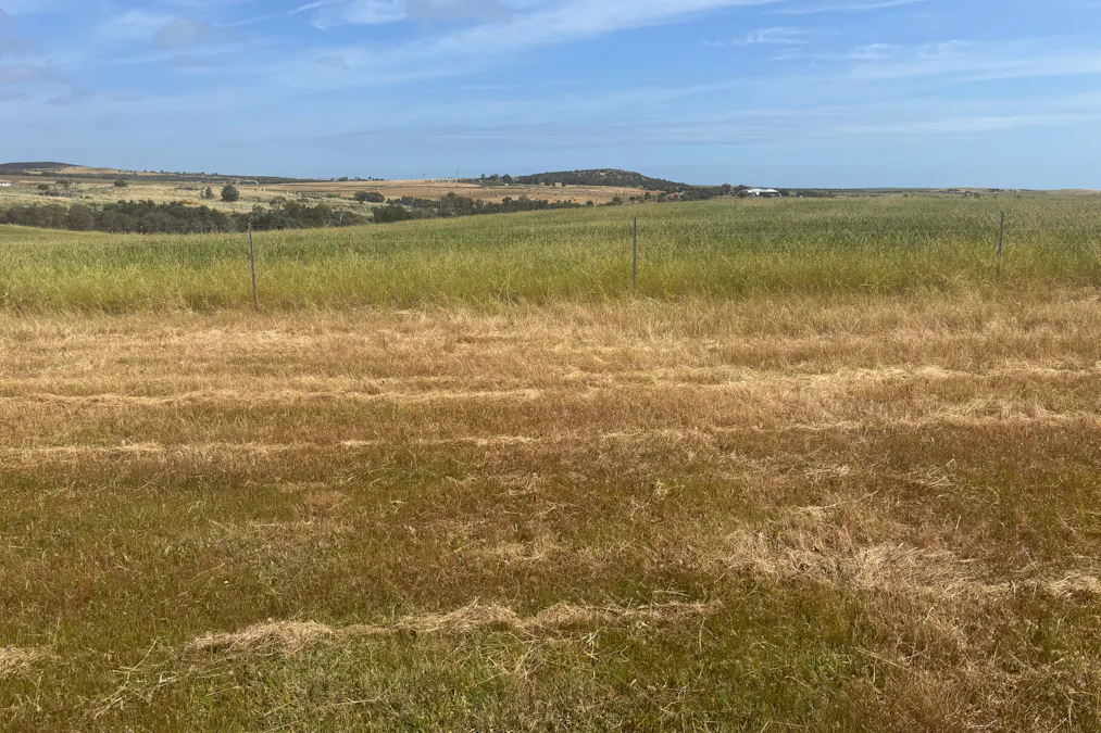 Lot 72 Oakajee Road, Howatharra, WA, 6532 - Image 15