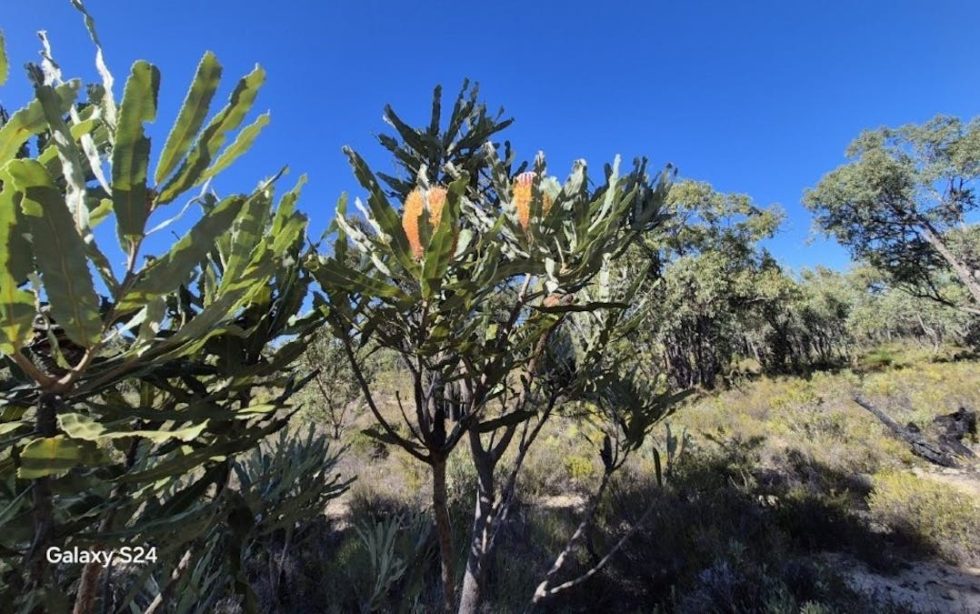 777 Teatree Road, Bindoon, WA, 6502 - Image 5