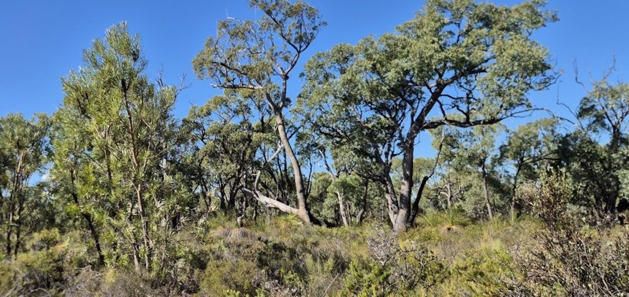 777 Teatree Road, Bindoon, WA, 6502 - Image 6
