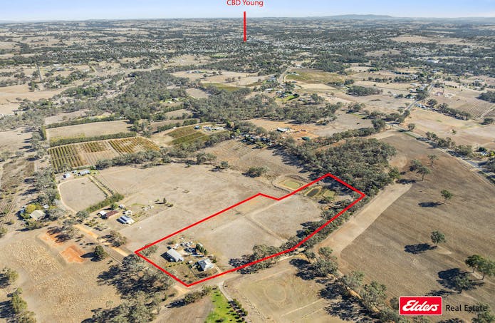 74 Ricketts Road, Young, NSW, 2594 - Image 1