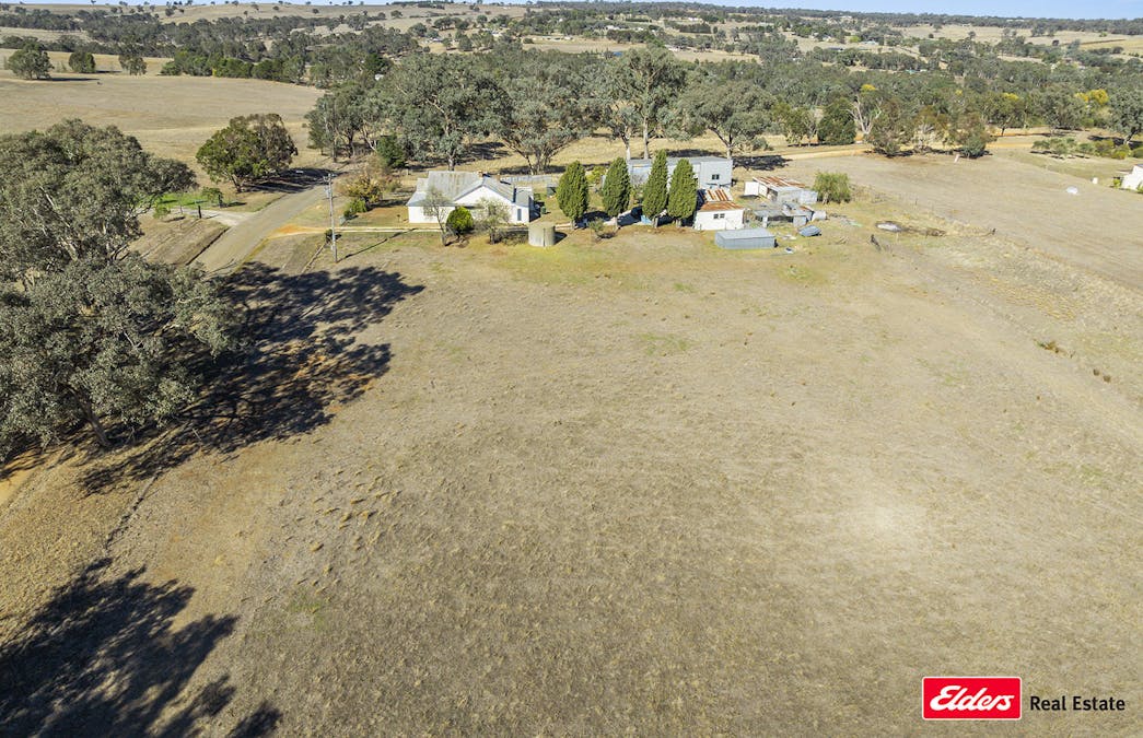 74 Ricketts Road, Young, NSW, 2594 - Image 4