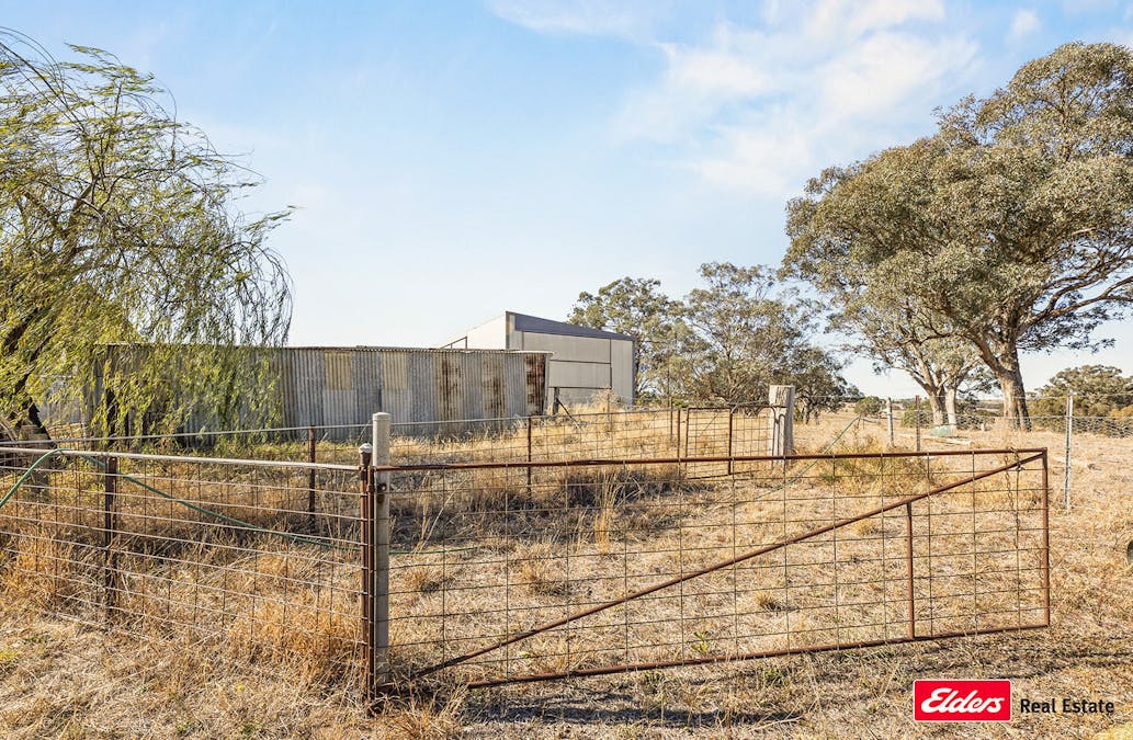 74 Ricketts Road, Young, NSW, 2594 - Image 26