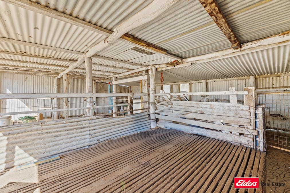 74 Ricketts Road, Young, NSW, 2594 - Image 28
