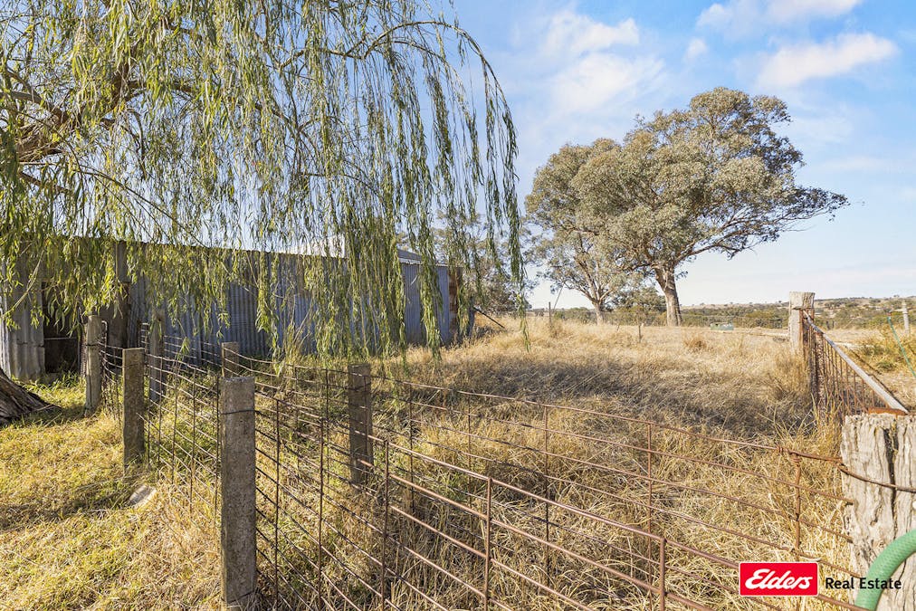 74 Ricketts Road, Young, NSW, 2594 - Image 29