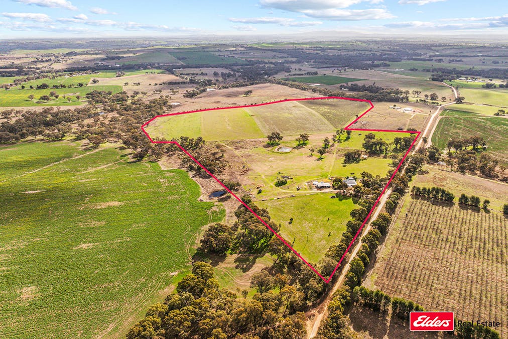 635 Monteagle Stock Route East Road, Young, NSW, 2594 - Image 2