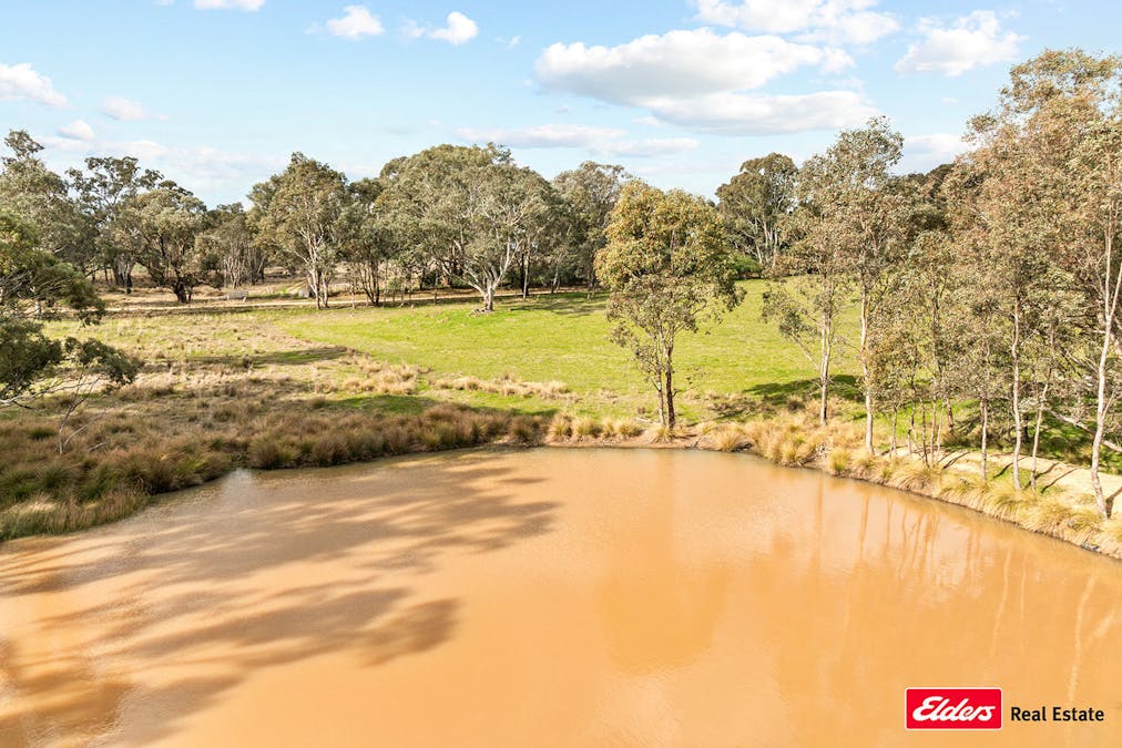 635 Monteagle Stock Route East Road, Young, NSW, 2594 - Image 35