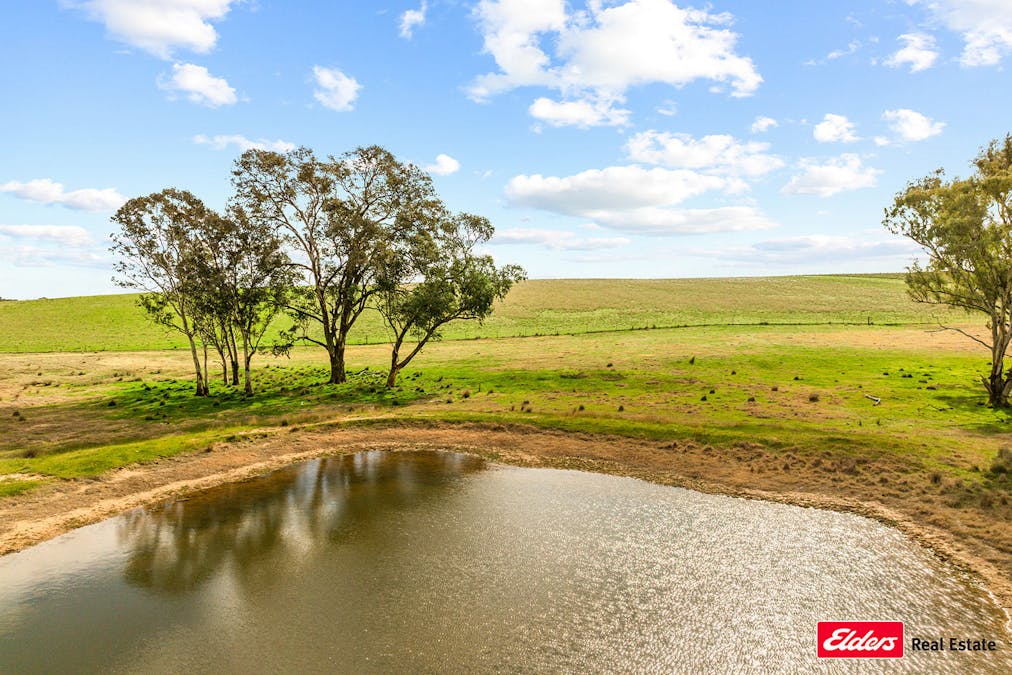 635 Monteagle Stock Route East Road, Young, NSW, 2594 - Image 5